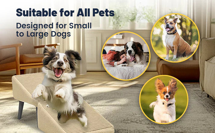 🐶 Give Your Pup Royal Access – Ramp + Ottoman Inside! 👑