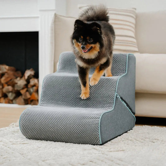🐶 Convertible Dog Stairs with Ramp – Portable & Foldable